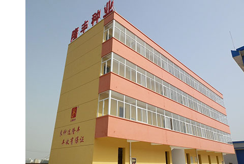 隆豐種業(yè)
